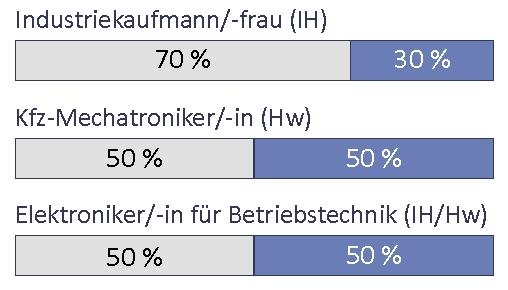 Anteil der Prüfungsinstrumente am gessamten Ergebnis