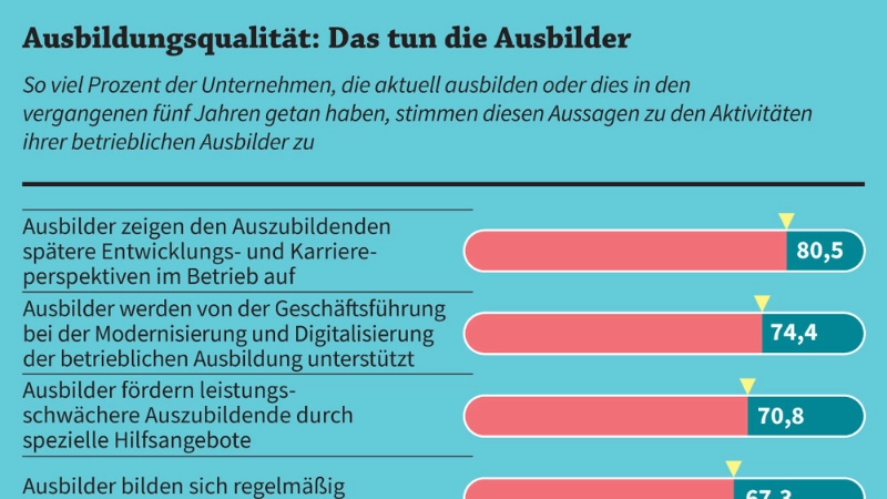 So viel Prozent der Unternehmen, die aktuell ausbilden oder dies in den vergangenen fünf Jahren getan haben, stimmen diesen Aussagen zu den Aktivitäten ihrer betrieblichen Ausbilder zu