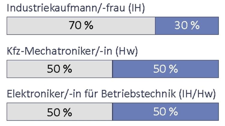 Anteil der Prüfungsinstrumente am gessamten Ergebnis