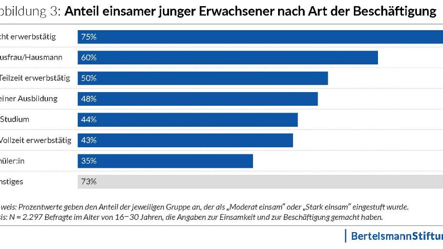 Anteil einsamer junger Erwachsener nach Art der Beschäftigung
