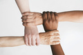 Fotolia_22282191_M